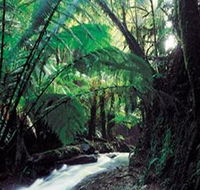 Melba Gully - Accommodation Rockhampton