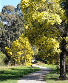 Surrey Hills VIC Accommodation Rockhampton