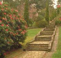 Maroondah Reservoir Park - Accommodation Rockhampton