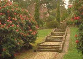 Maroondah Reservoir Park - Accommodation Rockhampton 0