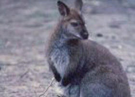  Accommodation Rockhampton