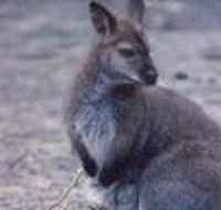 Churchill National Park - Accommodation Rockhampton