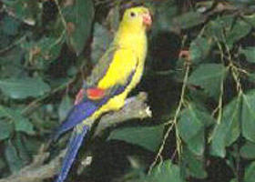 Lake Hindmarsh Reserve - Accommodation Rockhampton 0