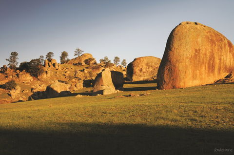 Fowles Wine - Accommodation Rockhampton 3