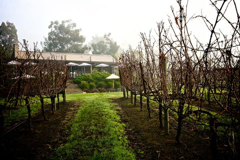 GREENSTONE VINEYARDS - Accommodation Rockhampton 4