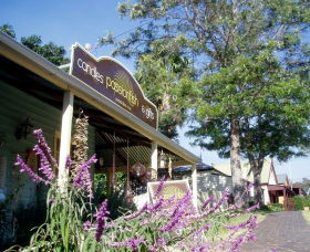 Passionfish Candles - Accommodation Rockhampton 0