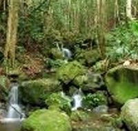 Budderoo National Park - Accommodation Rockhampton