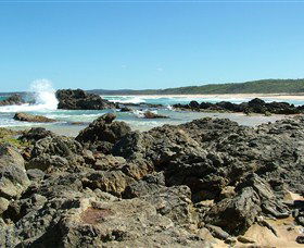 Coastal Walks - Bermagui - Accommodation Rockhampton 0