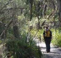 Barren Grounds Nature Reserve - Accommodation Rockhampton