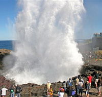 Kiama Blowhole - Accommodation Rockhampton
