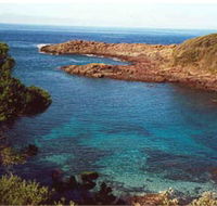 Bass Point Reserve - Accommodation Rockhampton