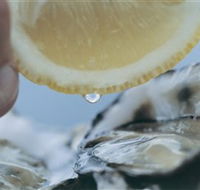 Pearly Oyster Bar and Farm - Accommodation Rockhampton
