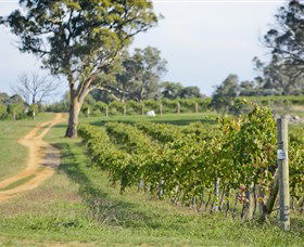 Shaw Vineyard Estate - Accommodation Rockhampton 1