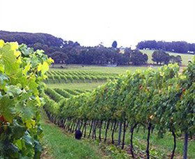 Exeter NSW Accommodation Rockhampton
