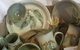 Inverell Art Gallery - thumb 2
