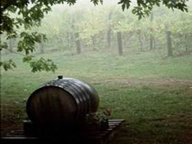 Arranmore Wines - Accommodation Rockhampton 2