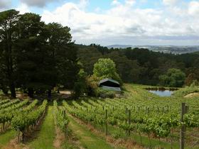 Arranmore Wines - Accommodation Rockhampton 0