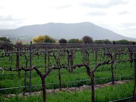 Remarkable View Wines - Accommodation Rockhampton 1