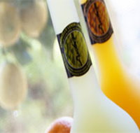 Ambra Limoncello - Accommodation Rockhampton