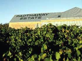 Padthaway Estate Winery - Accommodation Rockhampton 0