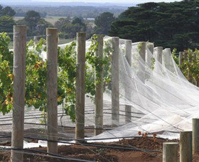 Paradigm Hill - Accommodation Rockhampton 1