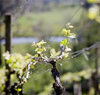 Barrgowan Vineyard - Accommodation Rockhampton