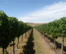 Cannibal Creek Vineyard - Accommodation Rockhampton 1