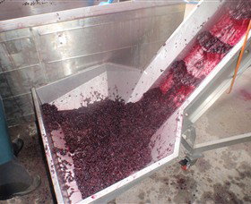 Cannibal Creek Vineyard - Accommodation Rockhampton 6