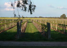 Bridgewater On Loddon VIC Accommodation Rockhampton