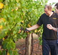 Fratin Brothers Vineyard - Accommodation Rockhampton