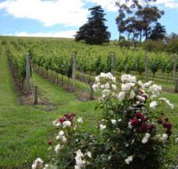 Pembroke Estate Vineyard - Accommodation Rockhampton