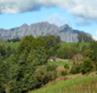 Lake Barrington Vineyard - Accommodation Rockhampton