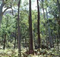 Cathedral Range State Park - Accommodation Rockhampton