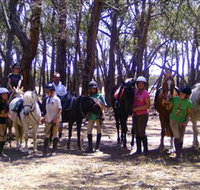 Bellarine Horse Riding Centre - Accommodation Rockhampton