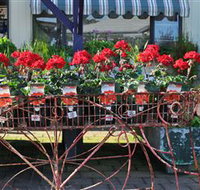 Van Loon's Nursery - Accommodation Rockhampton