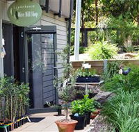 The Lighthouse Olive Mill Shop - Accommodation Rockhampton