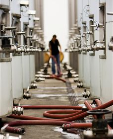 Punt Road Winery - Accommodation Rockhampton 5