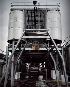 Punt Road Winery - Accommodation Rockhampton 8