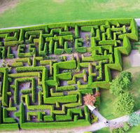 Hedgend Maze and Healesville Laser Sport - Accommodation Rockhampton