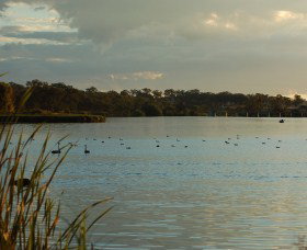 Lake Inverell Reserve - Accommodation Rockhampton 0