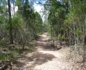 Goonoowigall State Conservation Area - Accommodation Rockhampton 1