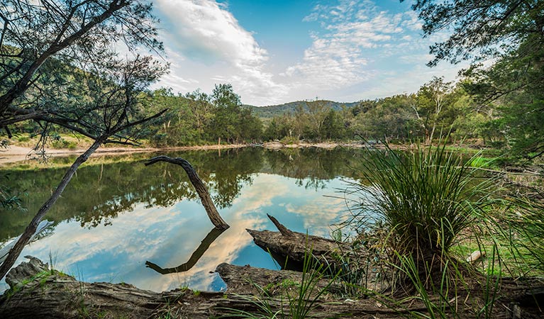 Warrabah NSW Accommodation Rockhampton
