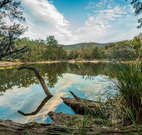 Warrabah National Park - Accommodation Rockhampton