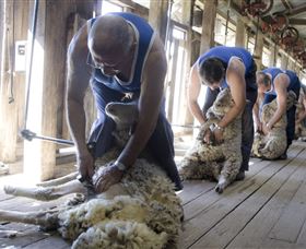 The Woolshed At Jondaryan - Accommodation Rockhampton 1