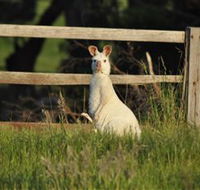 Panorama Garden Estate - Accommodation Rockhampton