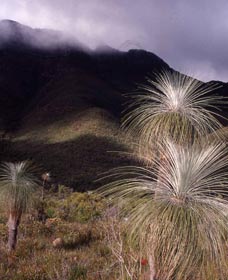 Bluff Knoll, Stirling Range National Park - Accommodation Rockhampton 3