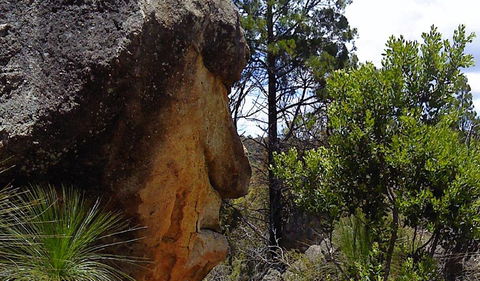 Torrington State Conservation Area - Accommodation Rockhampton 1