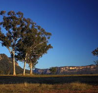 Capertee Valley Bird Trail - Accommodation Rockhampton
