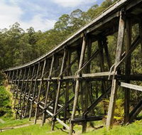 Noojee Trestle Bridge - Accommodation Rockhampton