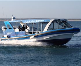 Phillip Island Nature Parks - Accommodation Rockhampton 2